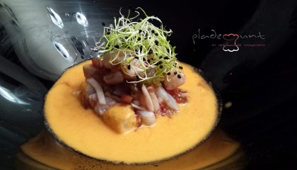 #ceviche de langostinos